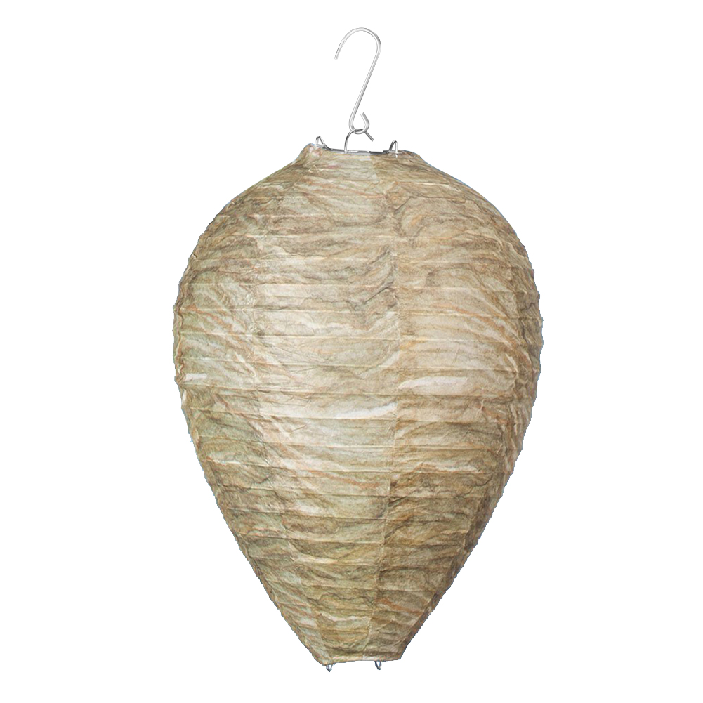 Outdoor Lighting Quotes - Luzes Românticas para Feriados de 11x8,7